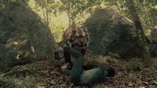 致命丛林,一场生存与死亡的生死较量