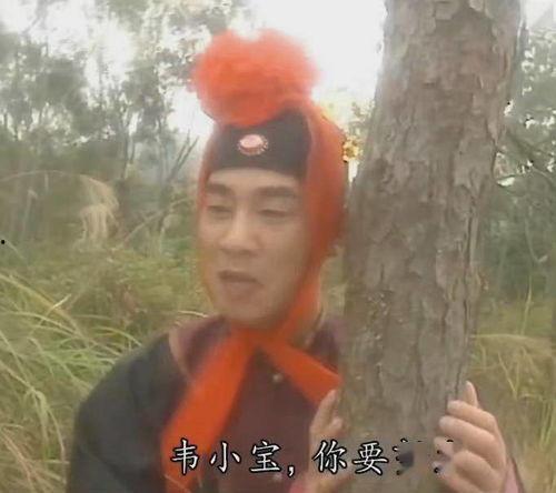 80年代，披荆斩棘的姐姐,姐姐们的传奇岁月