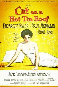 热铁皮屋顶上的猫,热铁皮下的生活轨迹