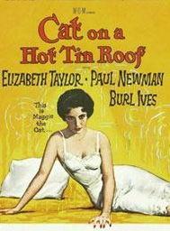 热铁皮屋顶上的猫,热铁皮下的生活轨迹