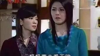 再续意难忘 第六季,第六季深情续篇