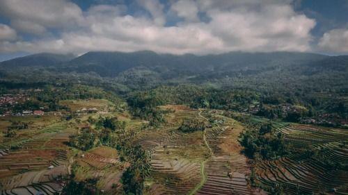 巴都塔拉,探寻东南亚历史文化的瑰宝